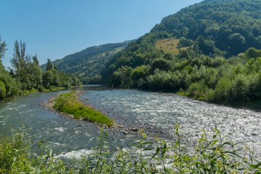 bir dağ nehir arasında eteklerinde çevrili yeşil çim, çalılar ve ağaçlar, mavi gökyüzü altında bankalar ile ağaçlık. dinlenme ve Turizm