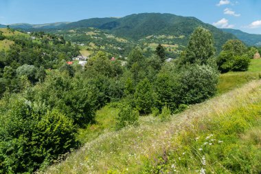 Çayır beyaz, Lila ve sarı çiçekli. Çok ağaç. Yürümek ve doğa hissetmek istediğiniz bir yere