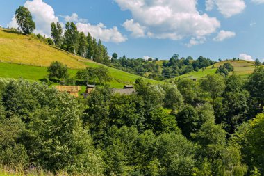 Ağaçlar çok sayıda bir güzel yeşil dağ tepe yamacında yer alır