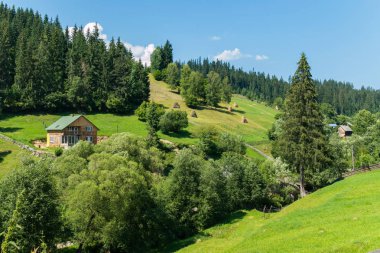 forest yakınındaki vadilerde büyük pencereler ve uçurumun nehirde bir ahşap ev