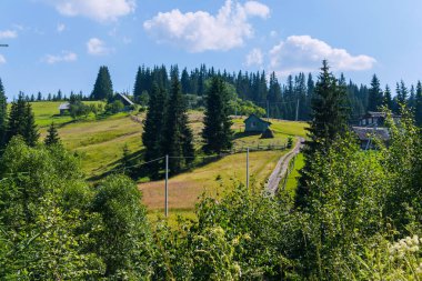 dar bir toprak yol için ağaçlar arasında curling bir yılanla evler