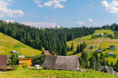 evlerin konumda yamaçlarında yeşil orman çiçeklenme