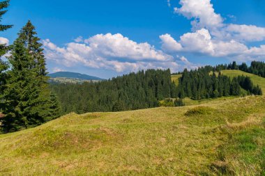 Mavi gökyüzü beyaz yoğun bulutlar üzerinde büyüyen yoğun bir orman ile yeşil dağ yamaçlarında yalan.