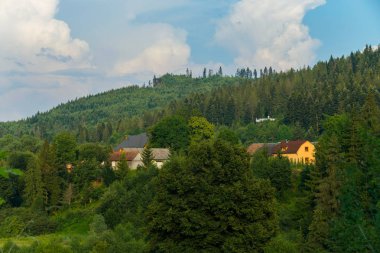 evde döşenmiş ve kayrak çatılar ile yoğun bir orman içinde saklanırken