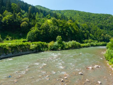 mavi bulutsuz gökyüzü altında yoğun bir yeşil orman kaplı nehir kayalık kıyıları boyunca fırtınalı bir akış. dinlenme, turizm ve piknik yeri