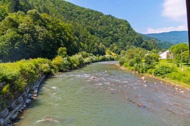 yeşil yamaç boyunca taşlar arasında çalışan hızlı ve hızlı nehir dağ