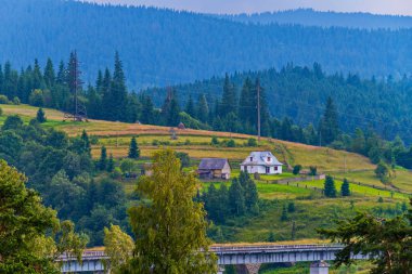 Bir çiftlik evi ayakta kalın bir ormanın yanında geçirerek bir güç hattı yeşil tarlalarda ortasında bir yamaç ile büyük bir kırsal ev.