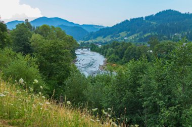 Alan chamomiles nehir aşağıda ve dağlar mesafe bakarak yalnız yamacında