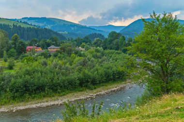 Taş bankalar ile temiz, derin bir nehir. Balık yaz aylarında yumurtlamaya gel buraya