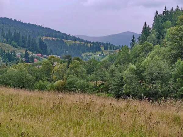 Ett vackert landskap av naturen i ett bergigt område med en liten by som ligger bland träd och gräs. — Stockfoto