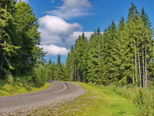 mavi bir bulutlu gökyüzü altında yeşil bir iğne yapraklı orman yoluyla asfalt yol. dinlenme, turizm, piknik yeri