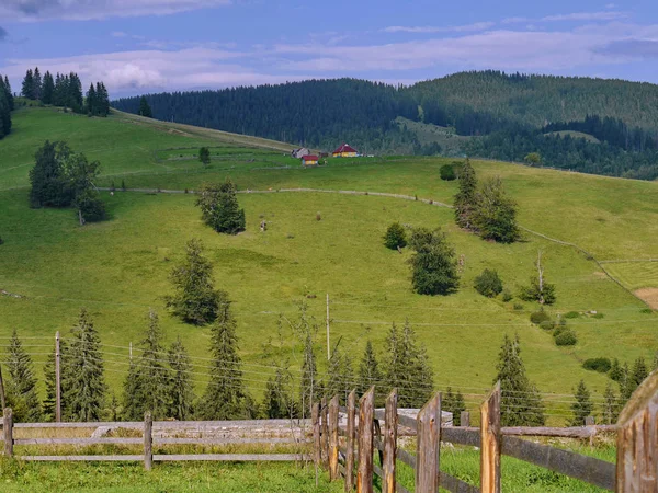 Kleine, gepflegte Bauernhäuser auf einem Hügel mit schönem grünen Gras, das über die abschüssigen Holzhecken bis zu den Grundstücken wächst. — Stockfoto