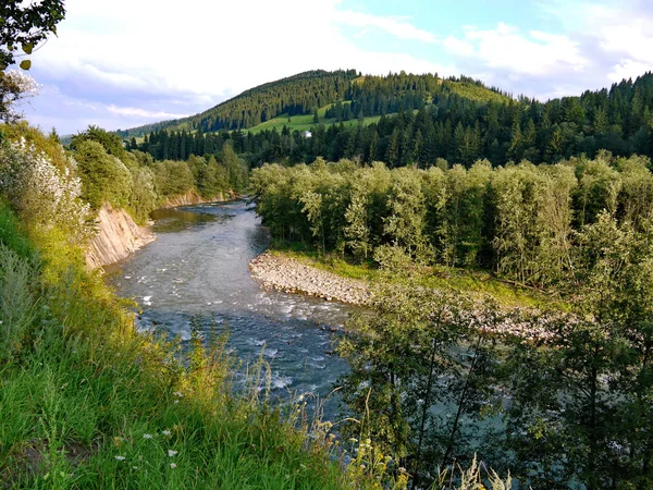 bir dağ nehir hızlı akış su beyaz bir köpük oluşturan taş dokunur vadiye taşır.
