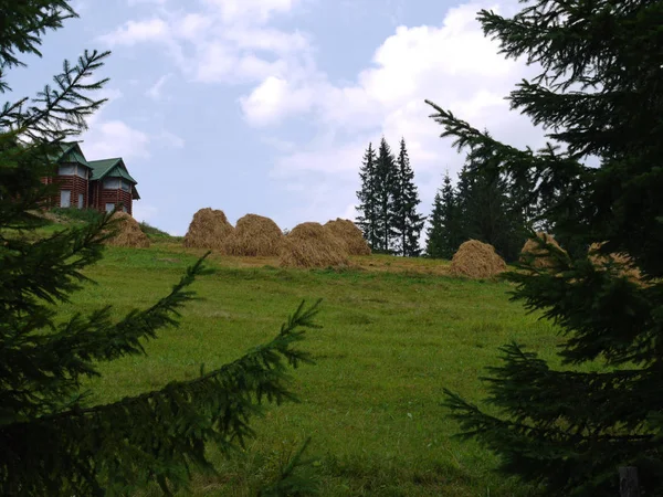 Huge stacks of hay near the chic wooden villa against the blue sky