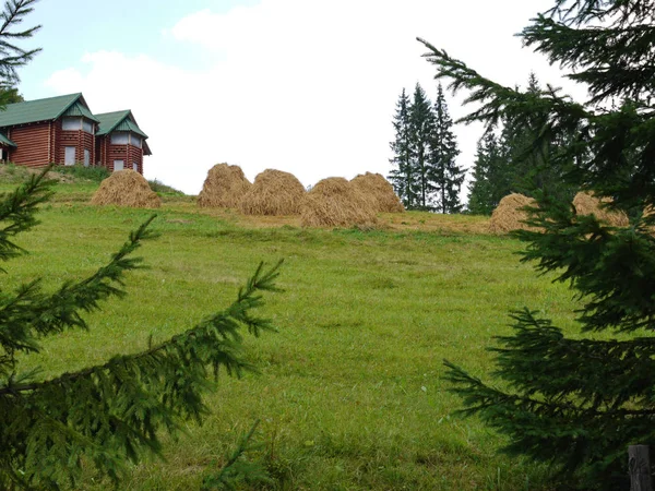 Bainhas de palha perto de uma bela villa de madeira com um telhado verde contra o pano de fundo de uma encosta da montanha — Fotografia de Stock