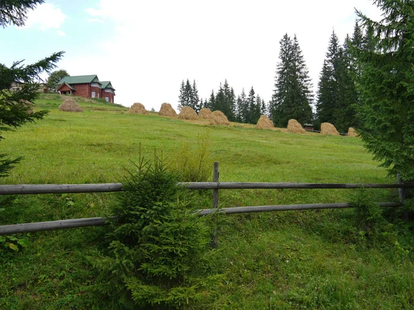 House, a haystack and a wooden fence on the green slope of the mountain, surrounded by green high fir trees under a cloudy sky. place of rest, tourism, picnic — Stock Photo, Image