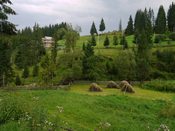在一个农村地区收获的草堆在一个斜坡上有主人房子的木栅栏围住. — 图库照片