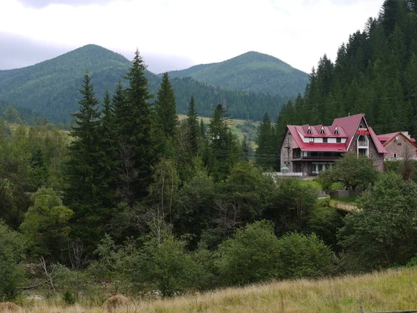 O telhado vermelho da casa se destaca claramente contra o fundo de árvores verdes e colinas — Fotografia de Stock