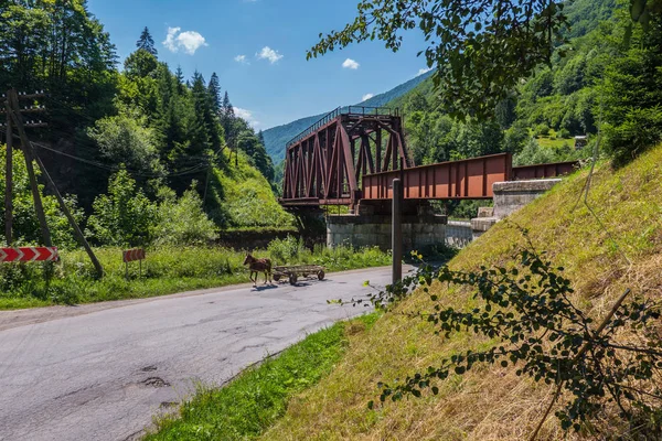 Horse carriage passing under a bridge on the road near the forest — Stock Photo, Image