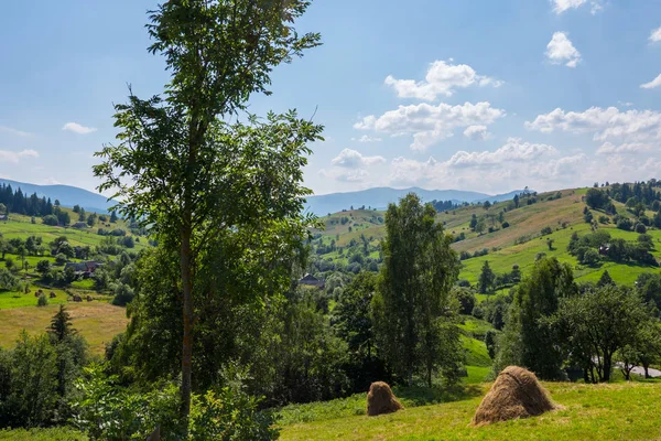 干草栈在山坡上的绿色山的背景下, 一个小村庄与漂亮的房子 — 图库照片