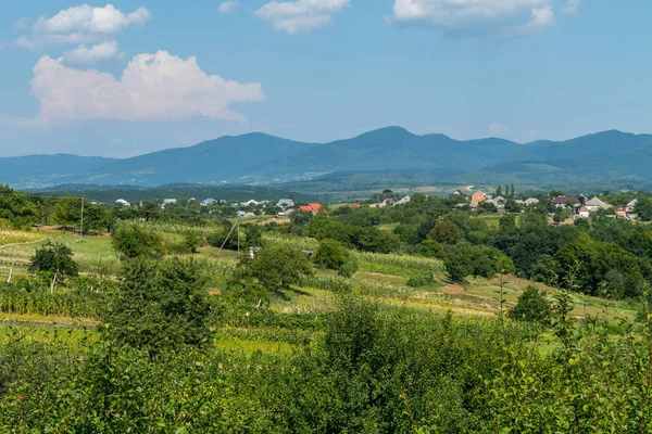 Das Grün der Bäume, das sanft in das Blau der hohen Berge und in den weiß-blauen Himmel übergeht — Stockfoto