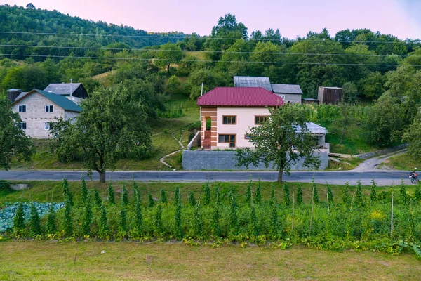 De um lado da estrada eu vou casas particulares de dois andares, e no segundo uma plantação de repolho e uma pequena vinha — Fotografia de Stock