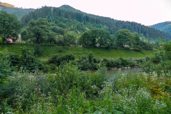 Hızlı dağ nehir iki banka arasında birbirine bölme
