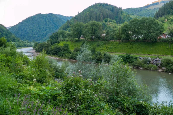 Невелика швидка річка з зеленими деревами з боків на тлі величезних гір — стокове фото