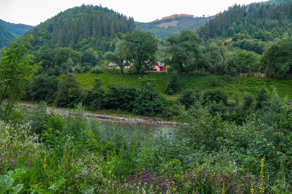 Ağaçlar ve dağlar temiz evler köylüler dibinde gölgede