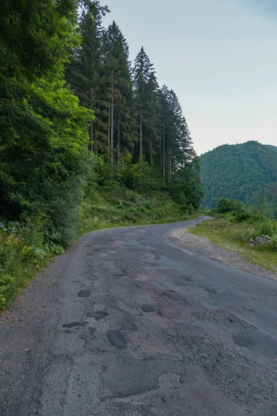 Camino de asfalto caminando a lo largo de la pendiente junto al bosque de pinos contra el telón de fondo de una montaña en la distancia —  Fotos de Stock