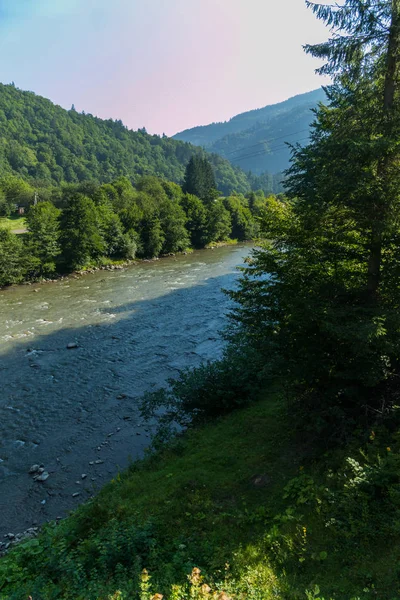 Yeşil sahil güzel görünümünden bir sığ nehir taşları ile mayınları bir oda için. Ağaçlar ve dağlar arasında akan.