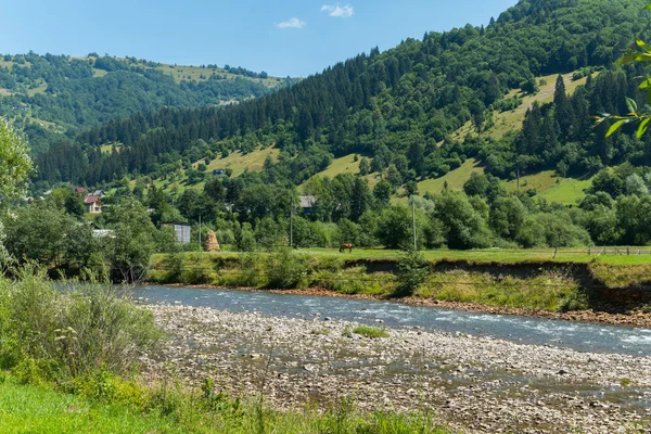 Güzel, doğal dağ manzara nehir, ağaçlar ve dağlar