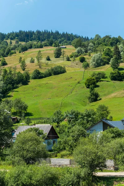 Yeşil dağ yamacında küçük rahat kırsal konutlarında için önde gelen ağaçlarıyla