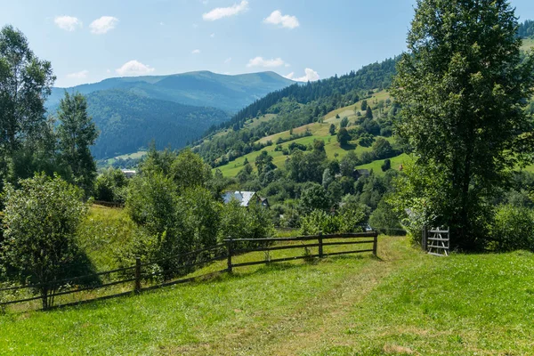 At, inek ve diğer hayvanlar çitlerle çevrili yeşil, sulu çim ile mera