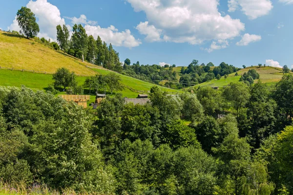 大量的树木坐落在美丽的青山山坡上。 — 图库照片