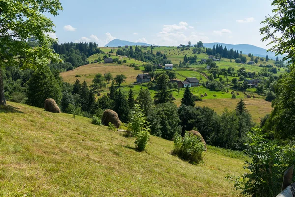 Köye giden sarı kuru saman üç polis ile yamaç