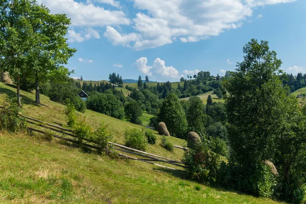 Bäume und Heuhaufen am grünen Berghang — Stockfoto