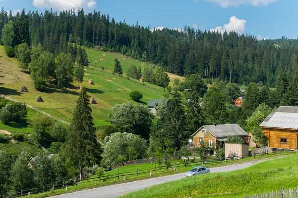 Bir iğne yapraklı orman kenarında iki tek katlı ev