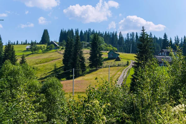 dar bir toprak yol için ağaçlar arasında curling bir yılanla evler
