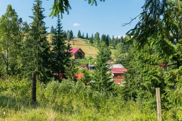 Blick von der mit Gras bewachsenen Lichtung auf Häuser, die am Hang mit trockenem Heu vor dem Hintergrund des Himmels und der Baumkronen stehen. — Stockfoto