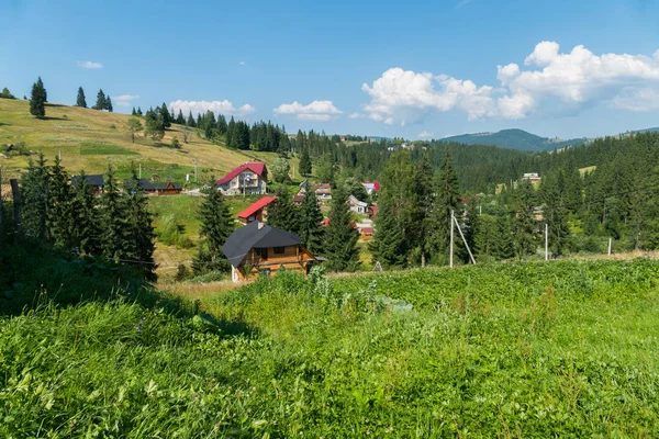 çam ağaçlarının uzak Dağları arka planı onların gölgede sivri tepeler muhteşem bir manzara