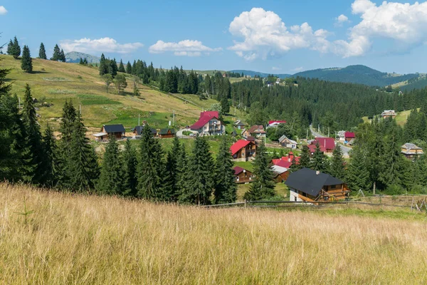Güzel Rustik Yeşil çam ağaçları dağlar ve bulutlu gökyüzü mavi bir arka plan üzerinde çevrili evler evleri