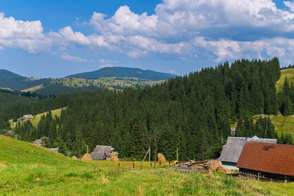 Berglandschaft an einem sonnigen Sommertag mit grünen Tannendächern von Bauernhäusern geerntet Heu und gehäckseltem Brennholz für den Winter geerntet. — Stockfoto