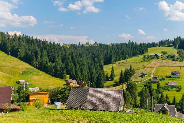 evlerin konumda yamaçlarında yeşil orman çiçeklenme