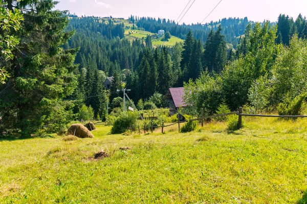 Ahşap bir çit ve iğne yapraklı bir ormana azalan haystacks arasında bir yol