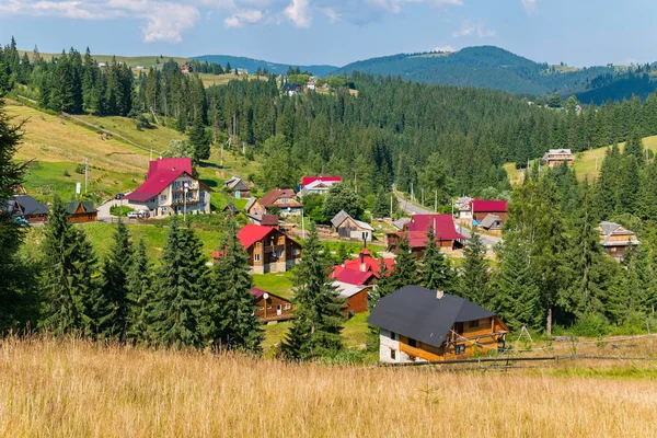 Schöne Dächer moderner Häuser in einer bergigen Gegend, umgeben von grünen Fichten — Stockfoto