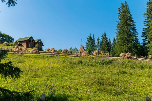 Eine große Anzahl von Stapeln mit gemähtem Gras in der Nähe der schicken Holzvilla — Stockfoto