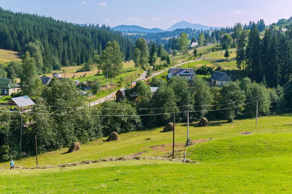 İnsanlar saman işleme ve düz yeşil haystacks içinde katlama