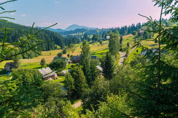 Karpaten-Dorf mit hohen Tannen im Vordergrund — Stockfoto