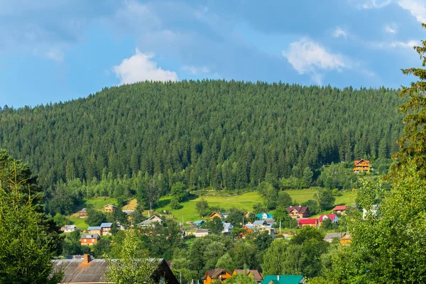 Gęsty las świerkowy na wzgórzu w pobliżu karpackiej wsi z kolorowe dachy — Zdjęcie stockowe
